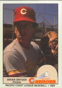 Brian Snyder baseball card